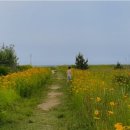 바다가 되고싶은 비 이미지