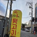 김해진짜뒷고기