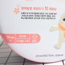 베베엔젤어린이집 이미지