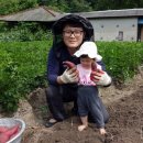 거창-고제-15 이미지