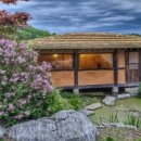 숲속에한옥 이미지