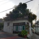 심복주 가옥 이미지