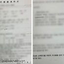 컴페니언 도그 이미지