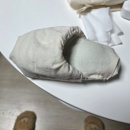 The Best Pc Cafe | (댕댕학교) 포메라니안 완벽 가이드, 작지만 애교의 퀸, 포메라니안 특성, 필요 물품, 관리 루틴(입양전...