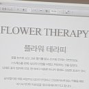 임신부 태교교실 (플라워바스켓-생화꽃바구니 만들기) | 루시나산부인과 임산부 문화센터 리스만들기 체험하고 왔어요 ♡
