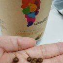 허브나래 이미지