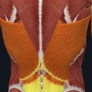 바디다짐 이미지