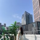 강남대로101길 20 이미지