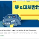 교통사고 12대 중과실 이미지