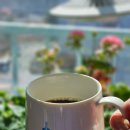 빛으로부터..(fr 이미지