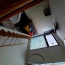 플레이독애견풀빌라 이미지