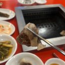 정성로스 이미지