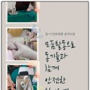 상주간호전문학원 네이버블로그