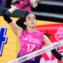 흥국생명 이미지