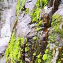 뒷골1로 이미지