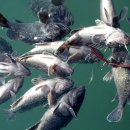 천우수산 이미지