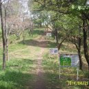 아미초등학교 이미지