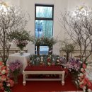 유니버설발레단 지젤 이미지