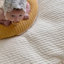 세탁나라 이미지