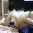 엠브이피짐(MVP GYM) 이미지