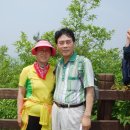 미원3리 Daum카페