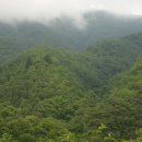 고요한아침 강가 이미지