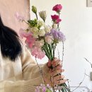 사림동215 | [혜화당] 창원꽃집/창원꽃집추천/창원꽃배달/문성대꽃집/반지동꽃집/창원플라워클래스/시티세븐꽃집...