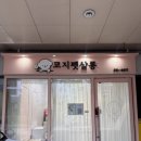 코지펫살롱 이미지