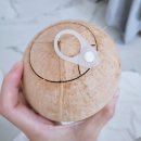 강릉과질 이미지