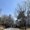 만월무스비 이미지