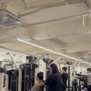 리라 핏 이미지