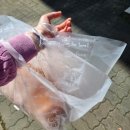 일본수제베이커리 야키타테 이미지