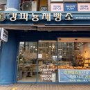 캉파뇽제빵소 - 남동구 서창남순환로215번길 35 | 캉파뇽제빵소