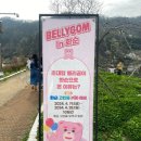 동구리호수공원주차장 | 화순 동구리호수공원 벚꽃 나들이 후기
