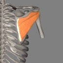 PT의 품격 이미지