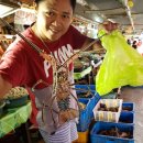 수파의 블랙잭 여정 (침체기 #2) 이미지