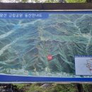 지리산천상화원 | 화왕산 억새만 예쁘다고? 지금 안 가면 후회하는 진달래 군락지 산행 후기