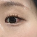 힐링스테이 | 유일하게 재방문한 범계 속눈썹 래쉬힐링스테이 솔직 후기