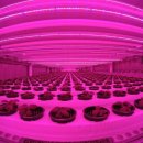 가장농장 이미지