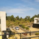 신트라움 이미지