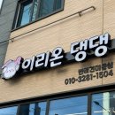 이리온 댕댕 이미지