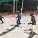 비발디강습센터