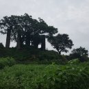 이교동일제군사시설 이미지