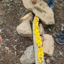 산본어린이집 이미지