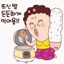 배가면집 - 달서구 | 배가면집