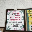 네일업네일UP | 인천 동춘동 네일 '네일업' 프리즘네일 자석젤 네일 맛집