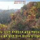 서산부동산토지 참사랑공인중개사 3.3㎡당 3만원 이미지