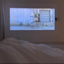 사라보카 48 이미지