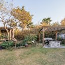 소희네 하우스 이미지