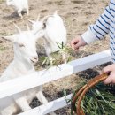 너른마당축산
